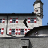 IMG_3783.jpg