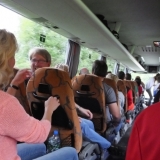 Vereinsausflug_(327).JPG