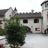 IMG_3643.jpg