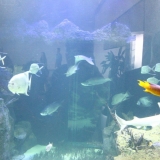 IMG_0681.jpg