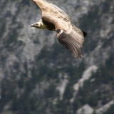 IMG_3773.jpg