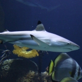 IMG_0670.jpg