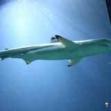 IMG_0672.jpg