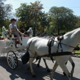 IMG_0515.jpg