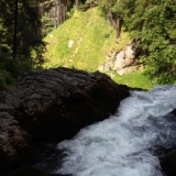 IMG_4026.jpg