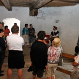 IMG_3648.jpg