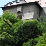 IMG_3784.jpg