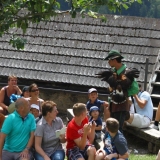 IMG_3749.jpg