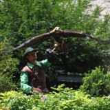 IMG_3768.jpg