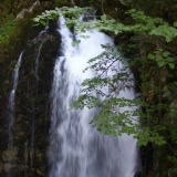 IMG_4054.jpg