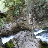 IMG_4045.jpg