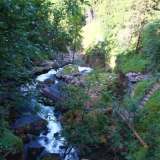 IMG_4052.jpg